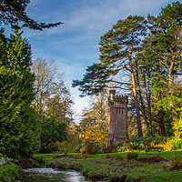 Buy canvas prints of The Tower in the Gardens by Phil Wareham