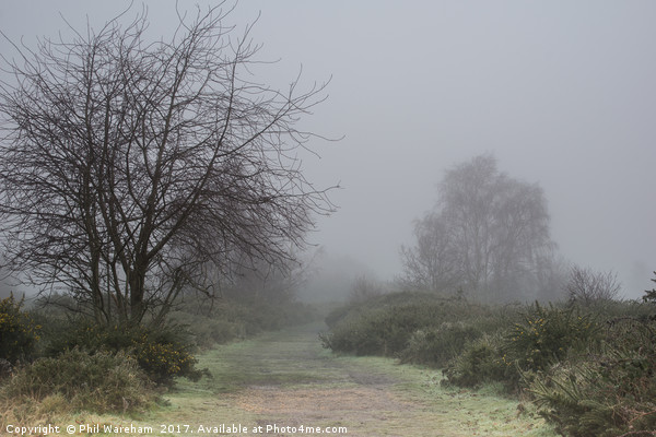 Fog over the common Picture Board by Phil Wareham