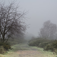 Buy canvas prints of Fog over the common by Phil Wareham