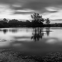 Buy canvas prints of Whitten Pond, Burley by Phil Wareham
