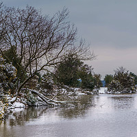 Buy canvas prints of Snow at Andrews Mare by Phil Wareham