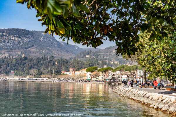 Lakeside in Garda Picture Board by Phil Wareham