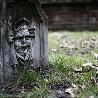 Buy canvas prints of Holland Park scream by Andrew Watson