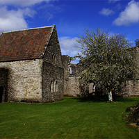 Buy canvas prints of Inchmahome Priory by James MacRae