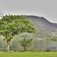 Buy canvas prints of Crummock by Julie  Chambers