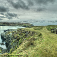 Buy canvas prints of Calf of Man by Julie  Chambers