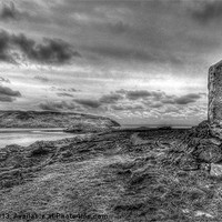 Buy canvas prints of Calf of Man by Julie  Chambers