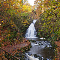 Buy canvas prints of Glenoe Falls in Autumn by Paul Evans