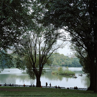 Buy canvas prints of A Day in Central Park by Rotem Sadi