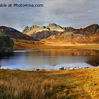 Buy canvas prints of Blea Tarn Panorama by Donald Parsons