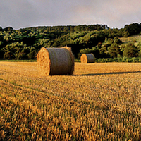 Buy canvas prints of Hay Bales at Dalserf, South Lanarkshire, Scotland  by Donald Parsons