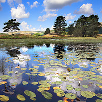 Buy canvas prints of Kelly Hall Tarn, Cumbria by Donald Parsons