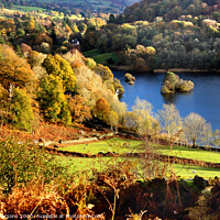 Buy canvas prints of Autumn At Rydal Water by Donald Parsons