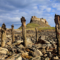 Buy canvas prints of Lindesfarne Castle, Holy Isle by Donald Parsons