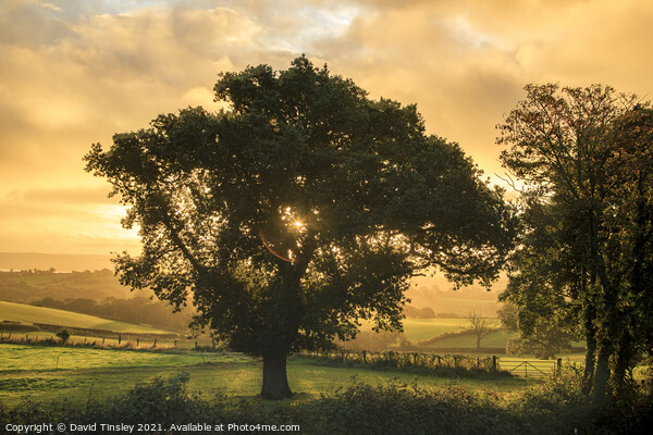 Early Autumn Sunrise Picture Board by David Tinsley