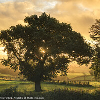 Buy canvas prints of Early Autumn Sunrise by David Tinsley