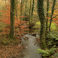 Buy canvas prints of Autumn at Wenchford by David Tinsley