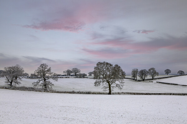 Winter Sunset Picture Board by David Tinsley