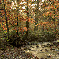 Buy canvas prints of Autumn at Wenchford by David Tinsley