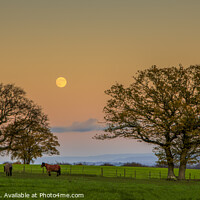 Buy canvas prints of December Moon Panorama by David Tinsley