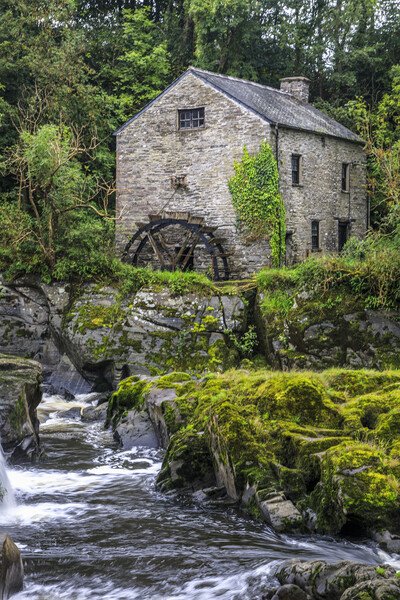 The Old Watermill Picture Board by David Tinsley