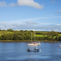 Buy canvas prints of Moorings on the Teifi  by David Tinsley