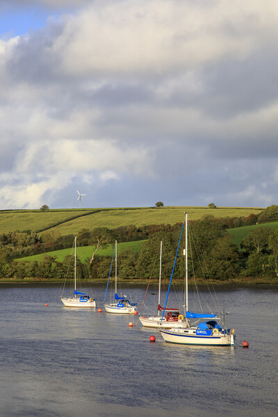 Moorings on the Teifi No2 Picture Board by David Tinsley