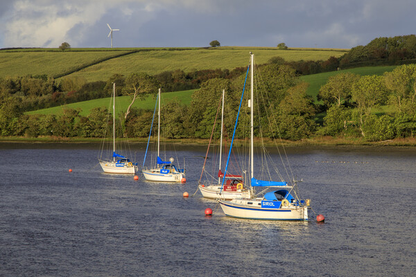 Moorings on the  Teifi No3 Picture Board by David Tinsley