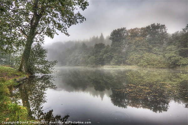 Autumn Mist Picture Board by David Tinsley