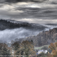 Buy canvas prints of Mist Over The Forest by David Tinsley
