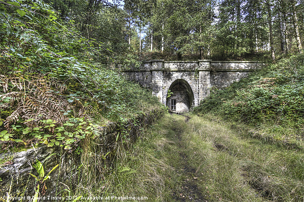 Mierystock Tunnel Picture Board by David Tinsley