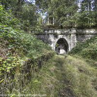 Buy canvas prints of Mierystock Tunnel by David Tinsley