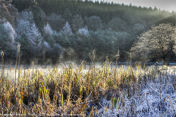 Frosty Start Picture Board by David Tinsley