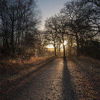 Buy canvas prints of Cycle Path Sunrise by David Tinsley
