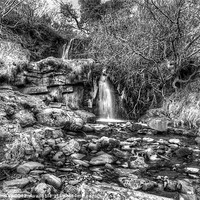 Buy canvas prints of Beacons Waterfall in Monochrome by David Tinsley