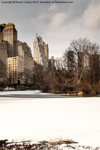 Central Park South Side Picture Board by David Tinsley