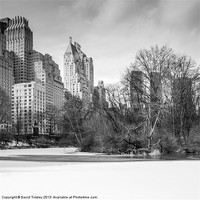 Buy canvas prints of Snow In The Park by David Tinsley