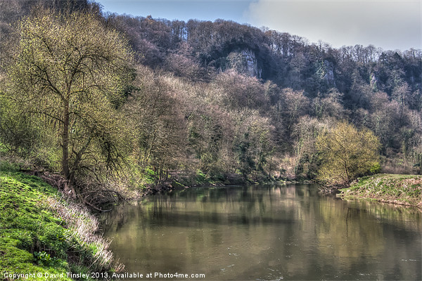 The Wye at Symonds Yat Picture Board by David Tinsley