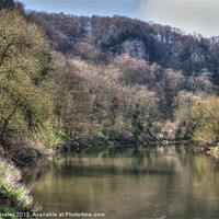 Buy canvas prints of The Wye at Symonds Yat by David Tinsley