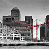 Buy canvas prints of Red Cranes by David Tinsley