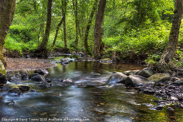 Summer Stream - I Picture Board by David Tinsley