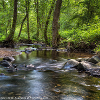 Buy canvas prints of Summer Stream - I by David Tinsley