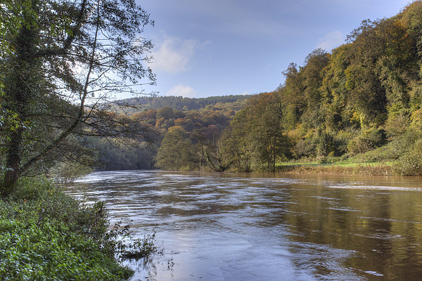 Along the Wye Picture Board by David Tinsley
