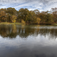 Buy canvas prints of Autumn Ponds - 1 by David Tinsley