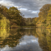 Buy canvas prints of Autumn Ponds - 2 by David Tinsley