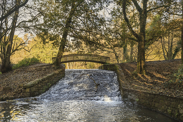 Autumn Brook Picture Board by David Tinsley