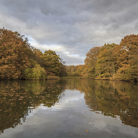 Buy canvas prints of Autumn Ponds - 3 by David Tinsley
