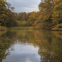 Buy canvas prints of Autumn Ponds - 4 by David Tinsley