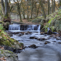 Buy canvas prints of Cannop Brook by David Tinsley
