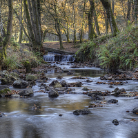 Buy canvas prints of Cannop Brook Panorama by David Tinsley